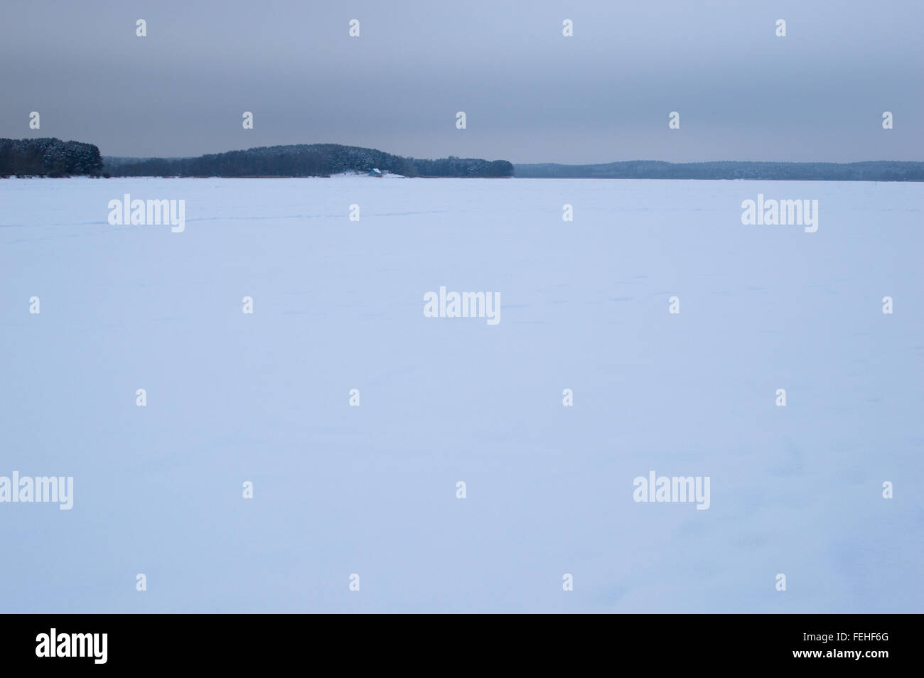 Lac d'hiver couvert de spectacle. Les arbres sur l'horizon. La partie principale du lac Banque D'Images