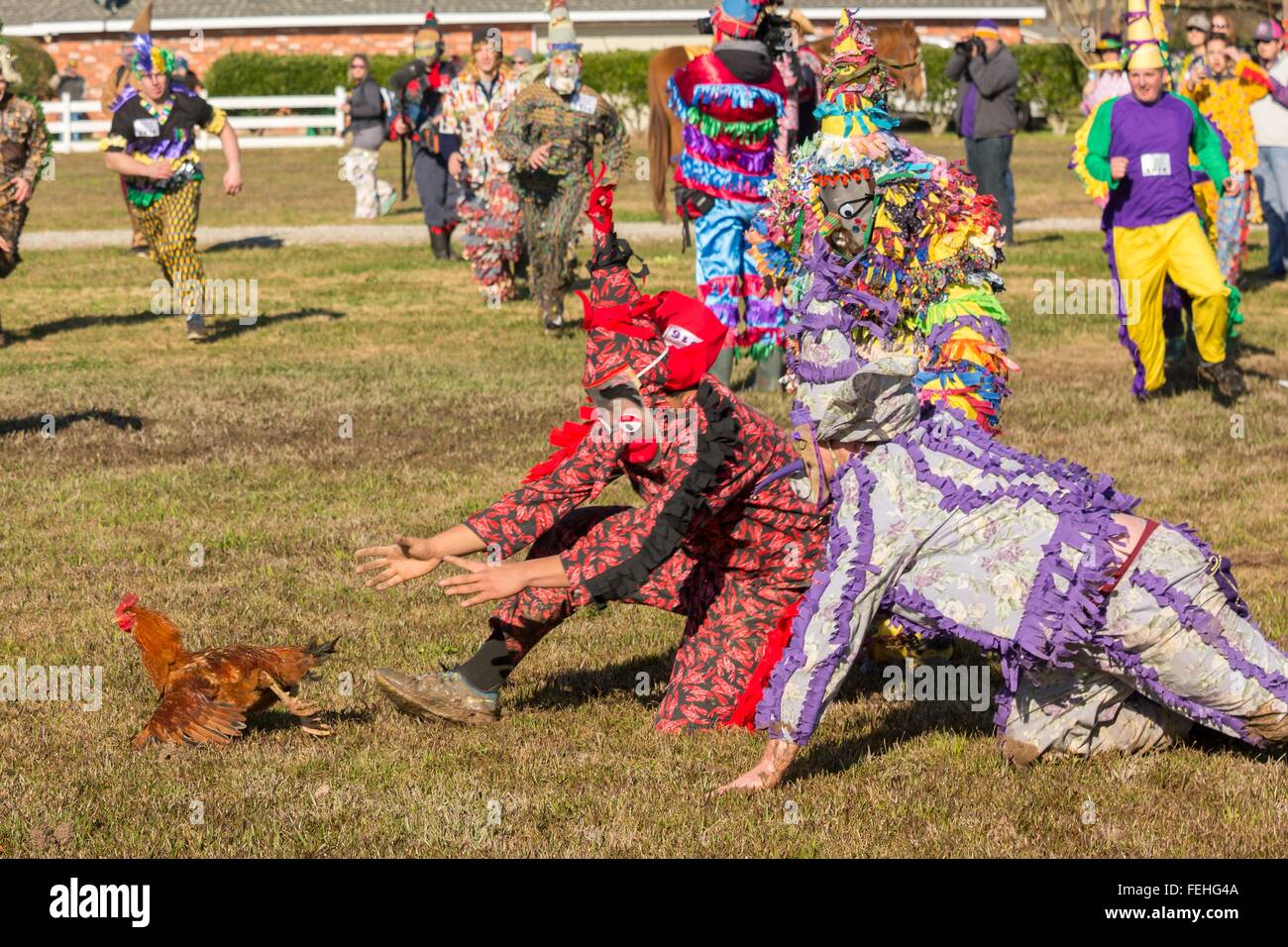 Mardi Gras Cajun ramblers en costume traditionnel chase un poulets vivants au cours de l'Église Point Courir de Mardi Gras Le 7 février 2016 à Church Point, en Louisiane. Fêtards s'ébattre dans la campagne à l'origine de la malice et de la mendicité puis célébrer par la danse. Banque D'Images