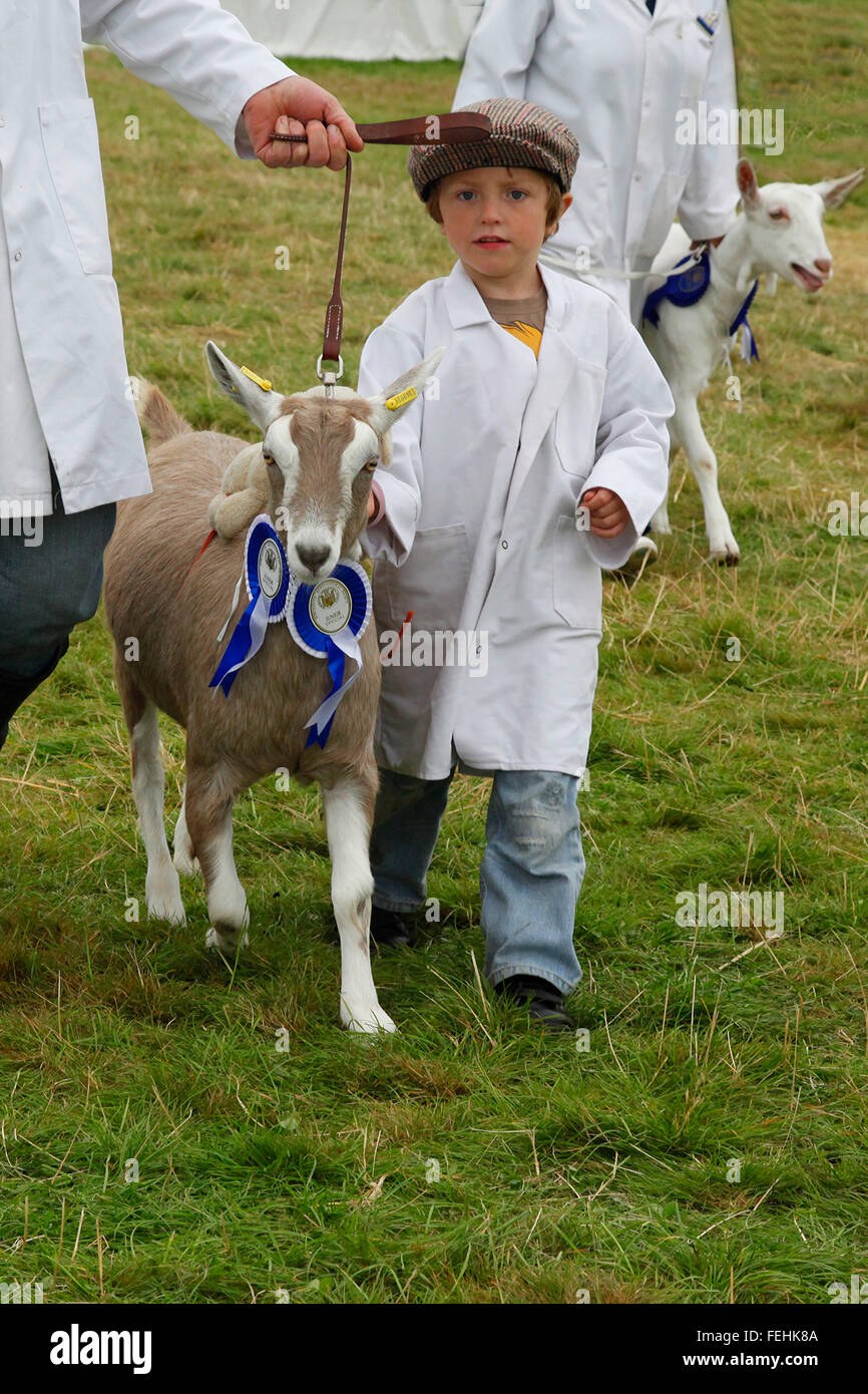 Un jeune garçon escorts son ruban bleu de chèvre animal de gagner à un concours dans l'Angleterre rurale Banque D'Images