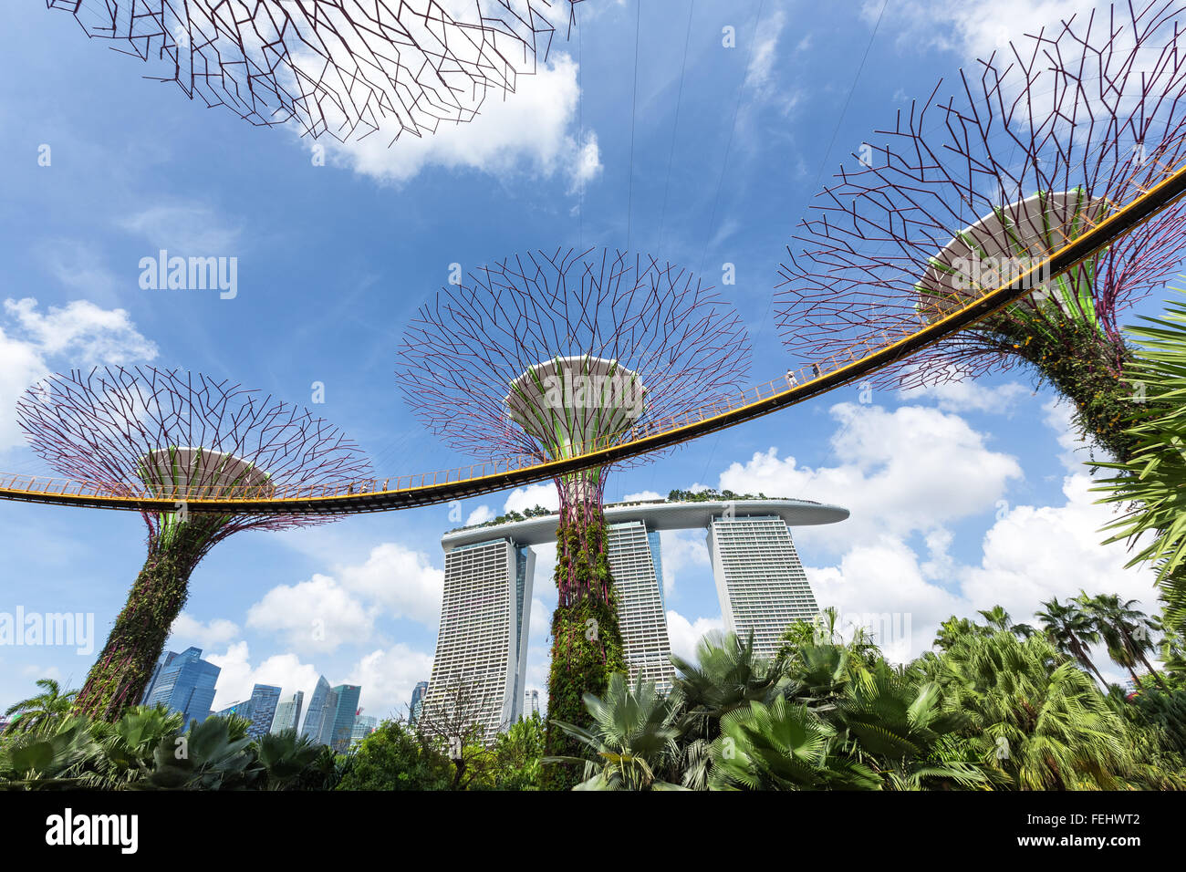 Vues d'un Supertree Grove à Singapour Banque D'Images