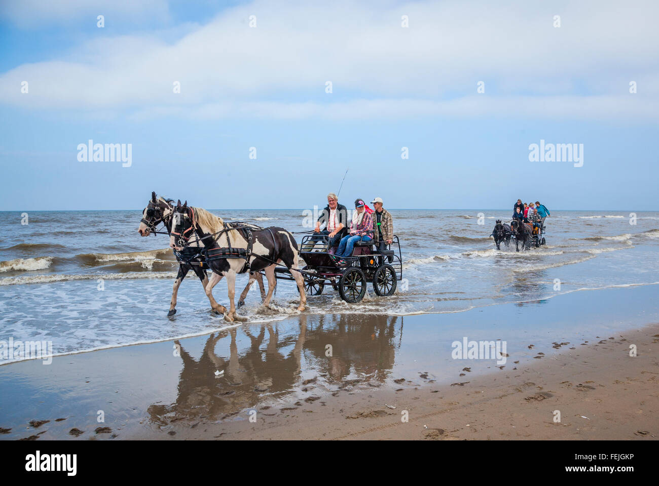 Pays Bas, Hollande-du-Sud, Noordwijk, fun-drwan cheval en calèche dans les vagues de Langevelderslag Beach Banque D'Images