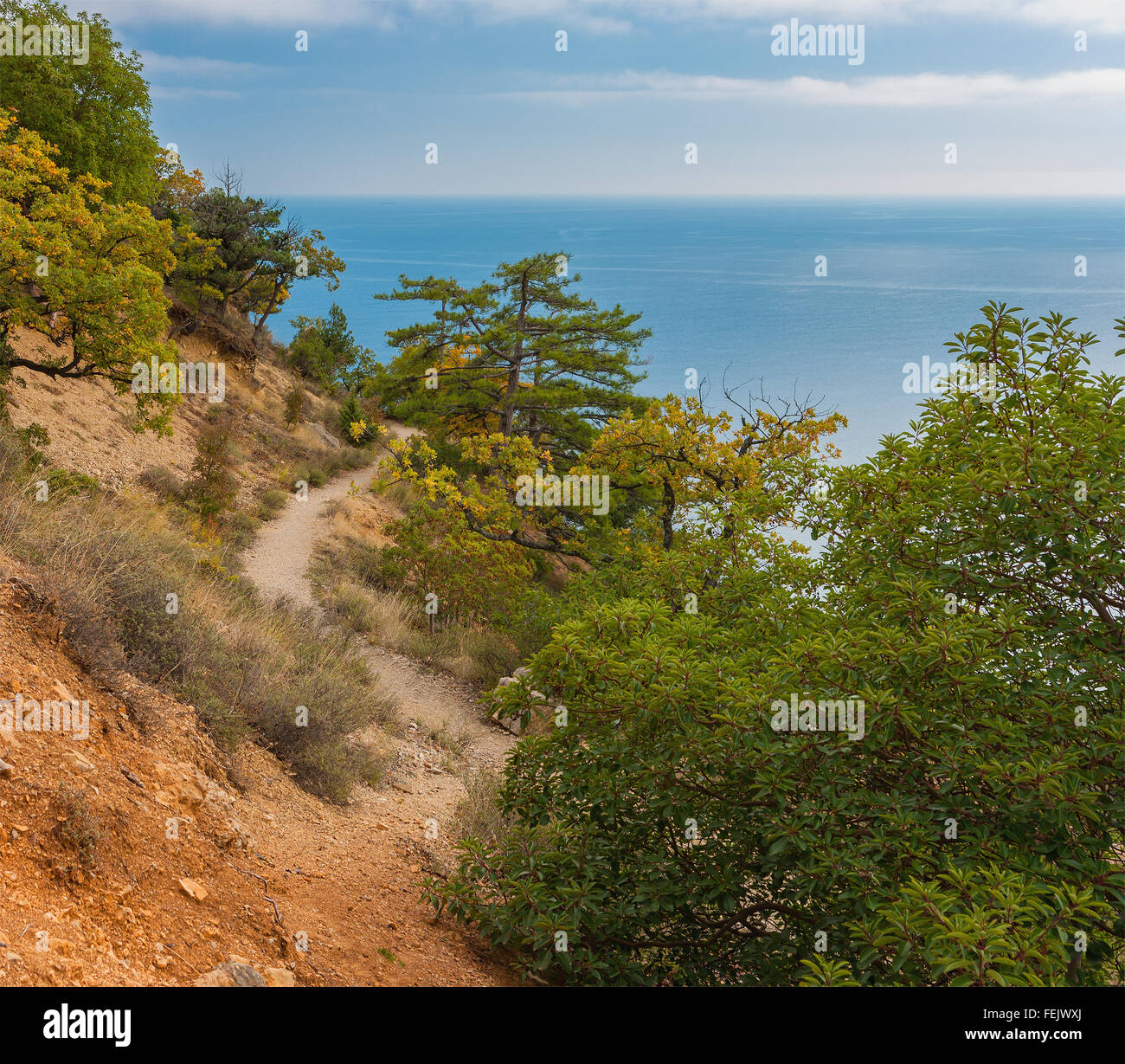 Chemin menant jusqu'à la rive de la mer Noire de Crimée - paysage à l'automne Banque D'Images