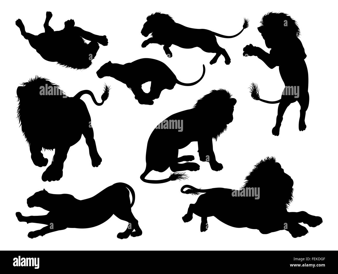Lion de silhouettes. Un ensemble d'hommes et de femmes les lions à l'ossature Banque D'Images