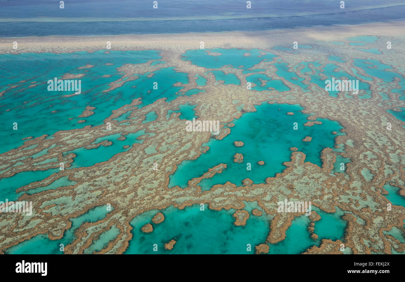 Vue aérienne de la Grande Barrière de Corail, Whitsunday Islands, Queensland, Australie Banque D'Images