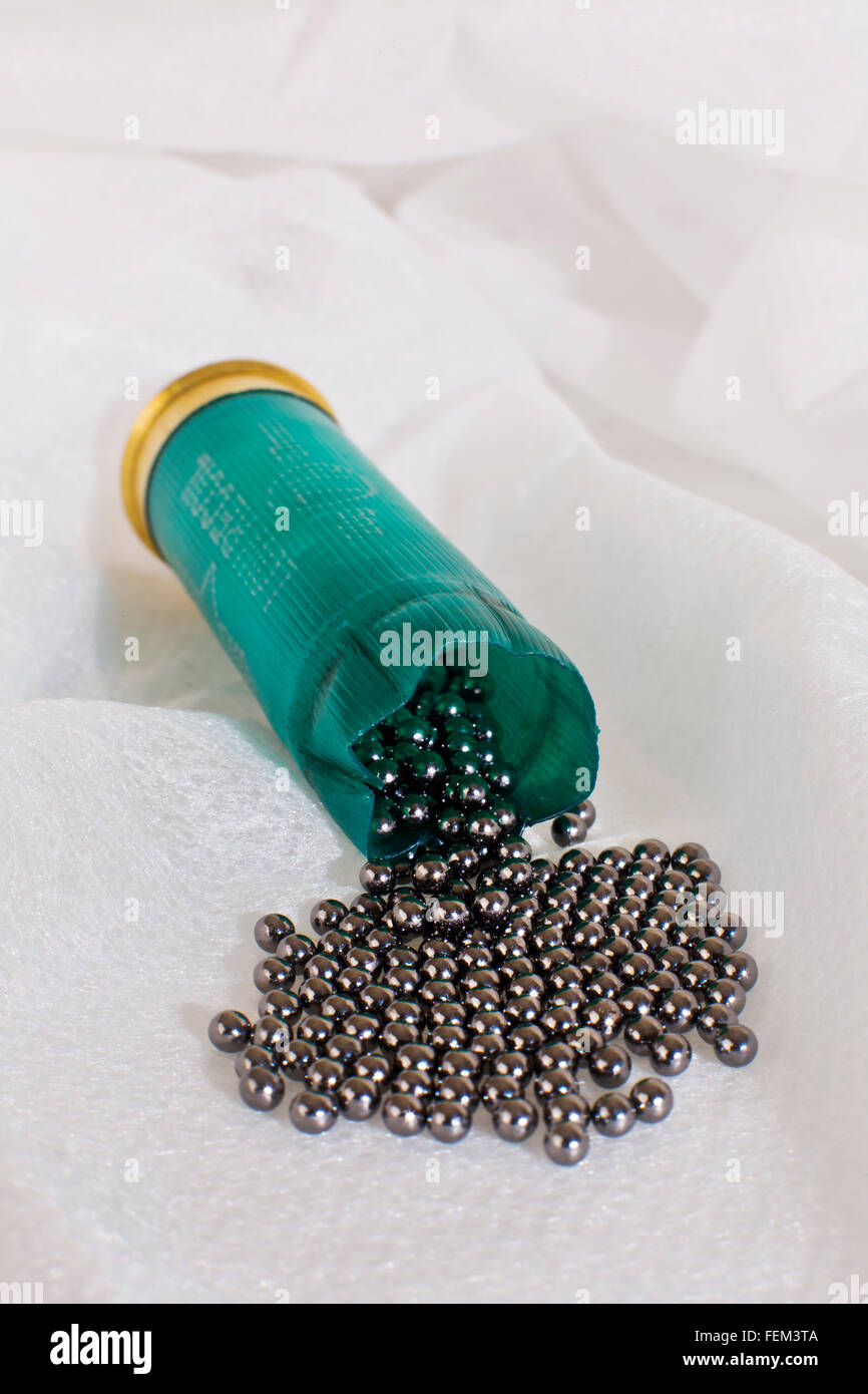 Ouvrir shot gun encre présentant des grains de plomb Banque D'Images