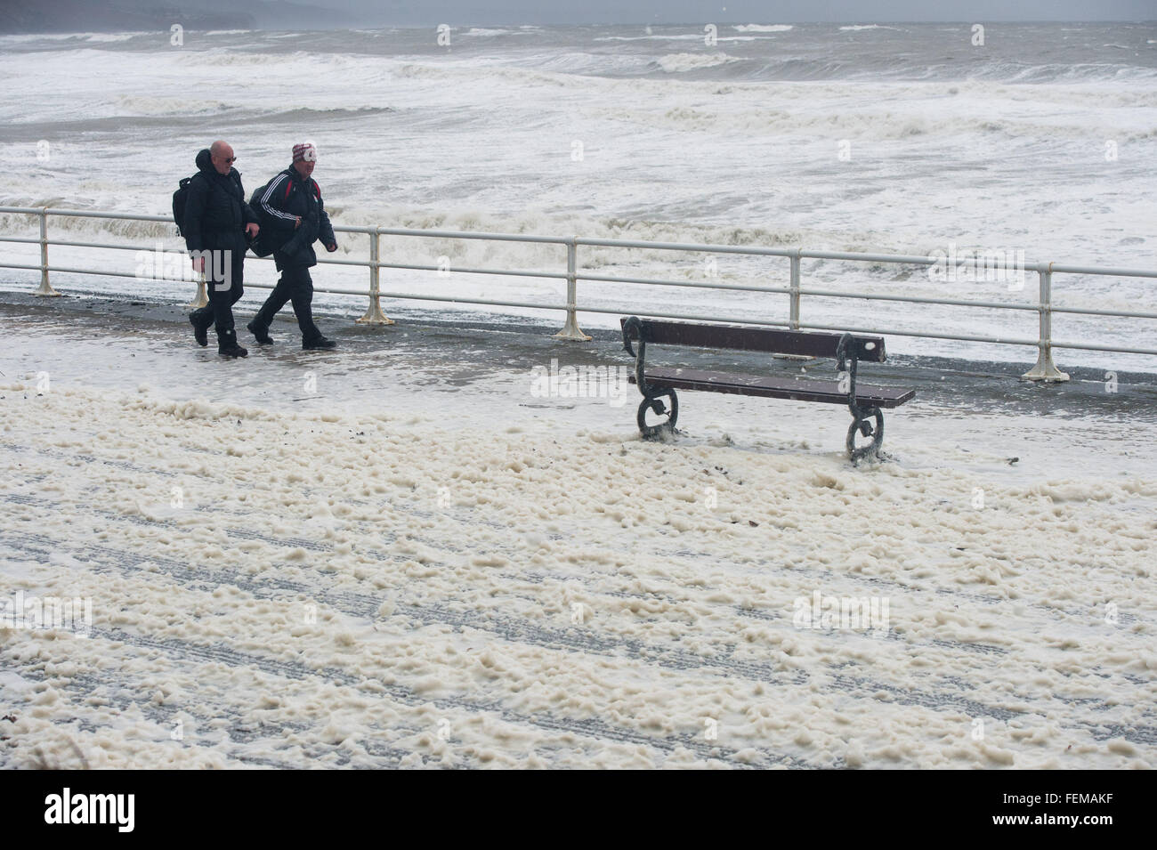 Aberystwyth, Pays de Galles, Royaume-Uni. 8 Février, 2016. Météo France : l'impact de la tempête Imogen est vu clairement à Aberystwyth après la marée haute n'aient disparu de la promenade et de la plage sont couverts dans un épais tapis de mousse de mer, ressemblant à des amoncellements de neige Crédit photo : Keith morris/Alamy Live News Banque D'Images