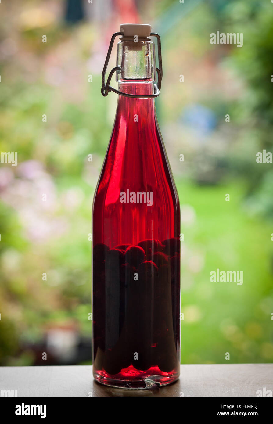 Sloe gin fait maison Banque D'Images