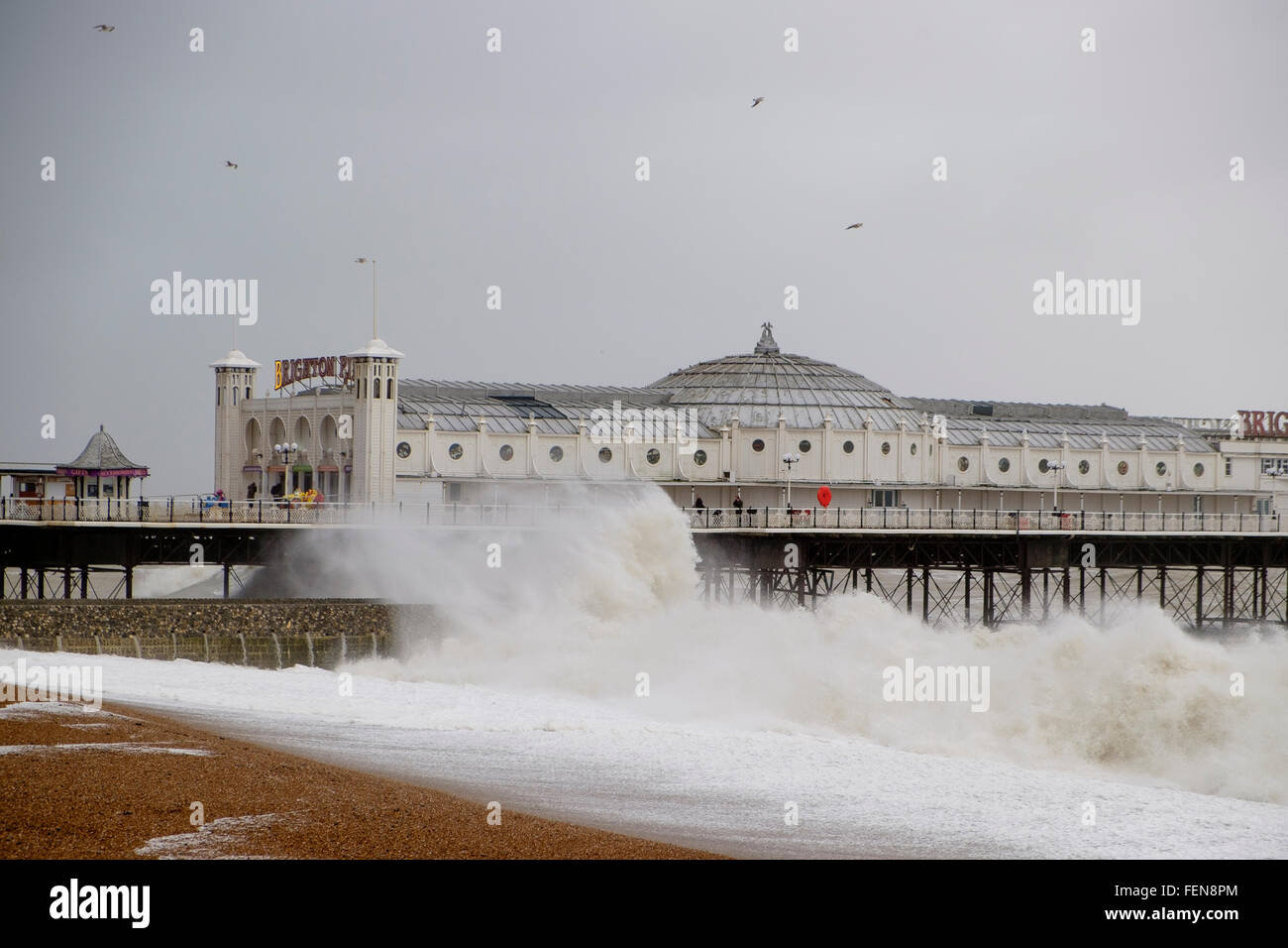 Brighton, UK. 8 Février, 2016. Avec des rafales jusqu'à 60mph, Imogen tempête a frappé le Brighton and Hove sur la côte sud de l'Angleterre. Le vent et les fortes vagues a appelé les gens à l'expérience à bord de la éléments. Crédit : Scott Hortop/Alamy Live News Banque D'Images