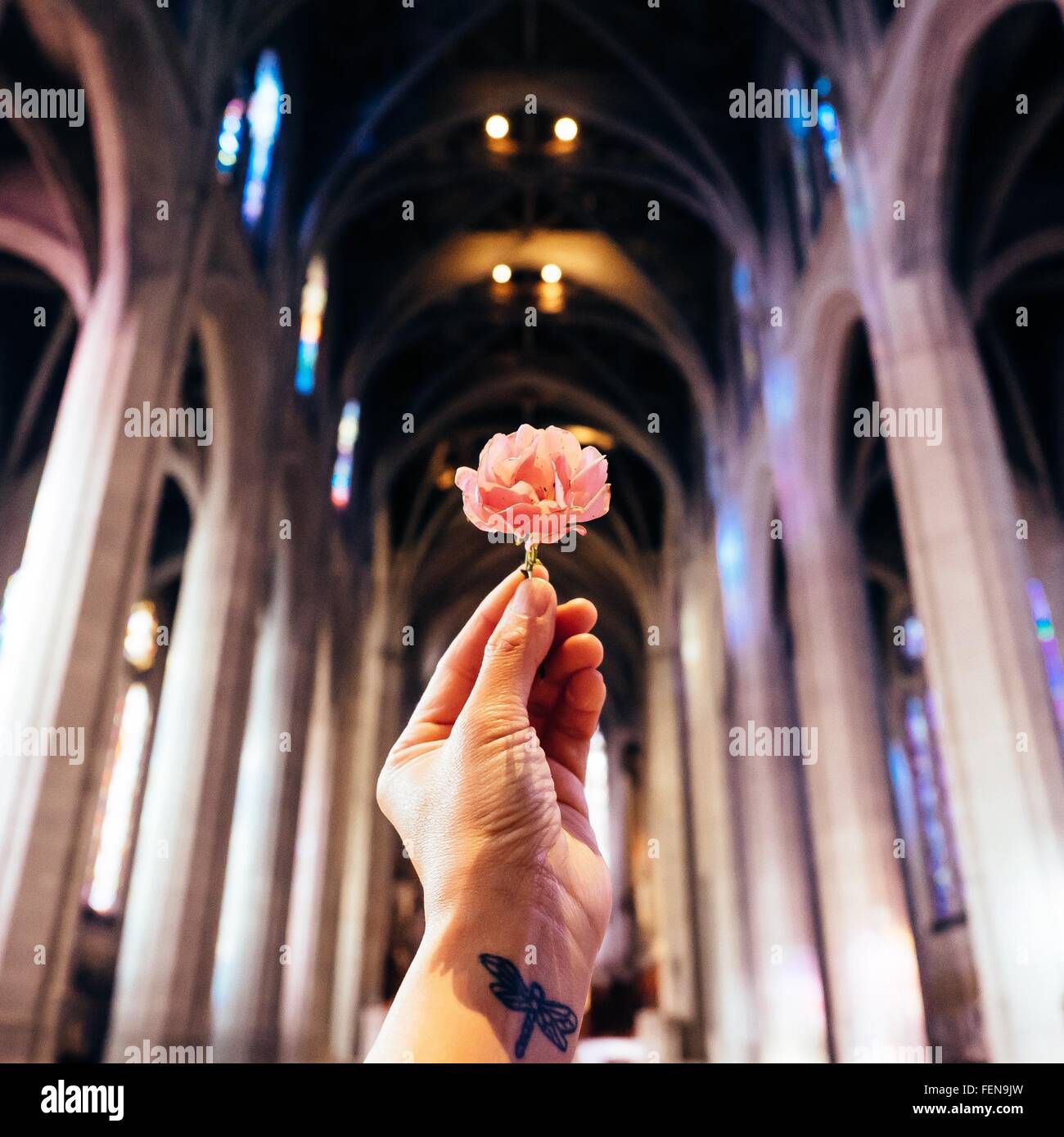 Woman Holding Dandelion Banque D'Images