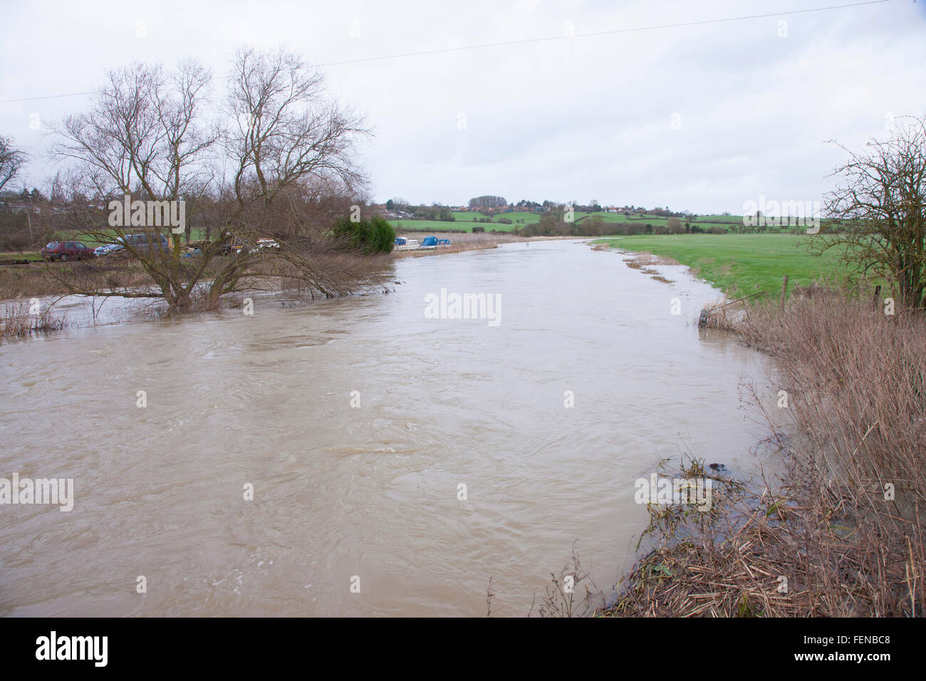 Passage d'eau, dureté de l'rd, Great Doddington, Northamptonshire. Lundi 8 février 2016. Mise à jour à 1452 aujourd'hui. Avertissements d'inondations pour la Nene Valley et le Northampton Washland après de fortes pluies au cours de la fin de semaine. Credit : Keith J Smith./Alamy Live News Banque D'Images