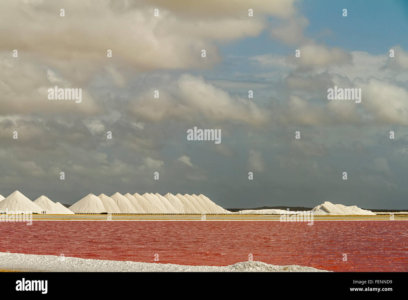 La production de sel Antilles néerlandaises Bonaire Banque D'Images