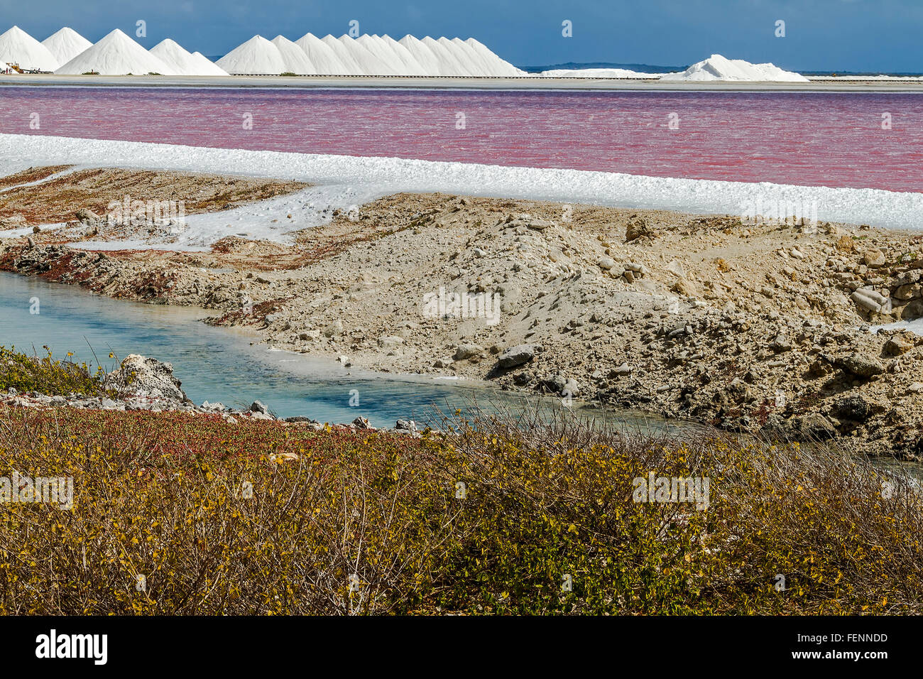 La production de sel Antilles néerlandaises Bonaire Banque D'Images