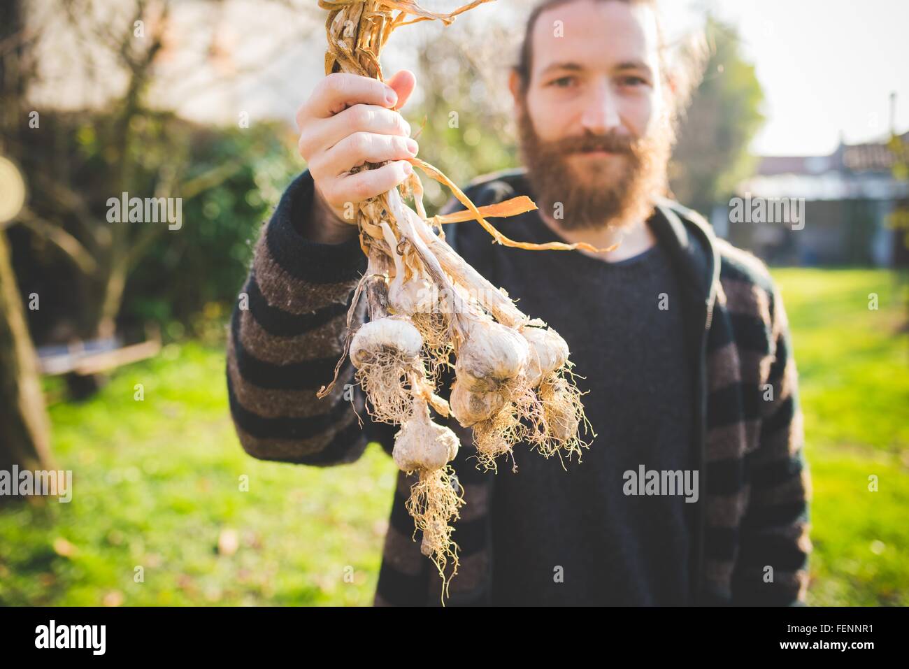 Bearded man in garden holding bulbes fraîchement cueillies à la caméra en souriant Banque D'Images
