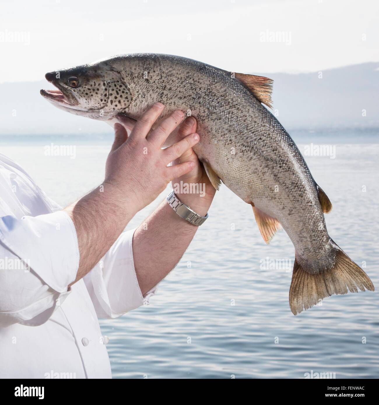 Man holding up fish, le lac en arrière-plan Banque D'Images