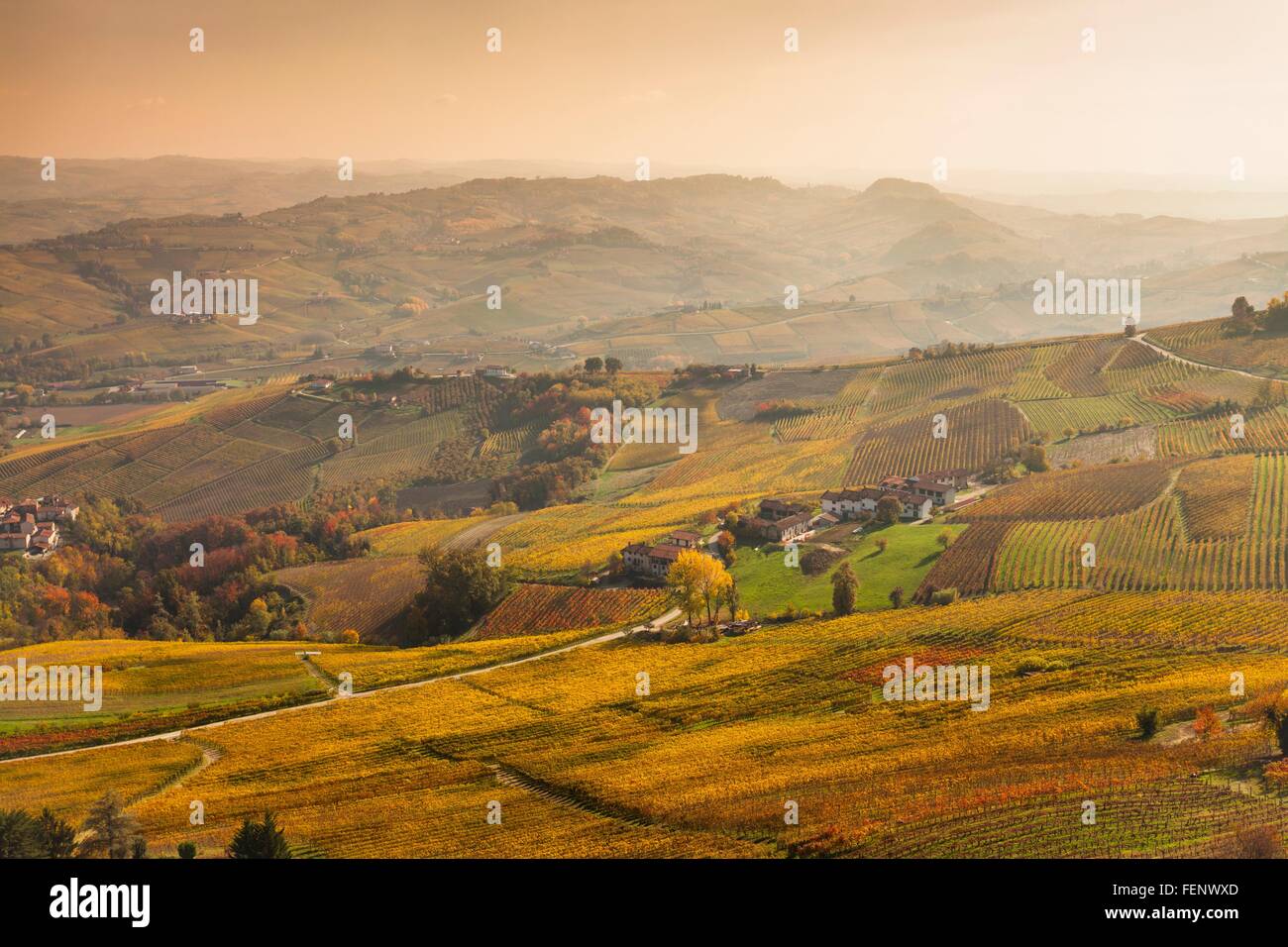 Portrait de vallées et de vignobles, l'automne lointain Langhe, Piémont, Italie Banque D'Images