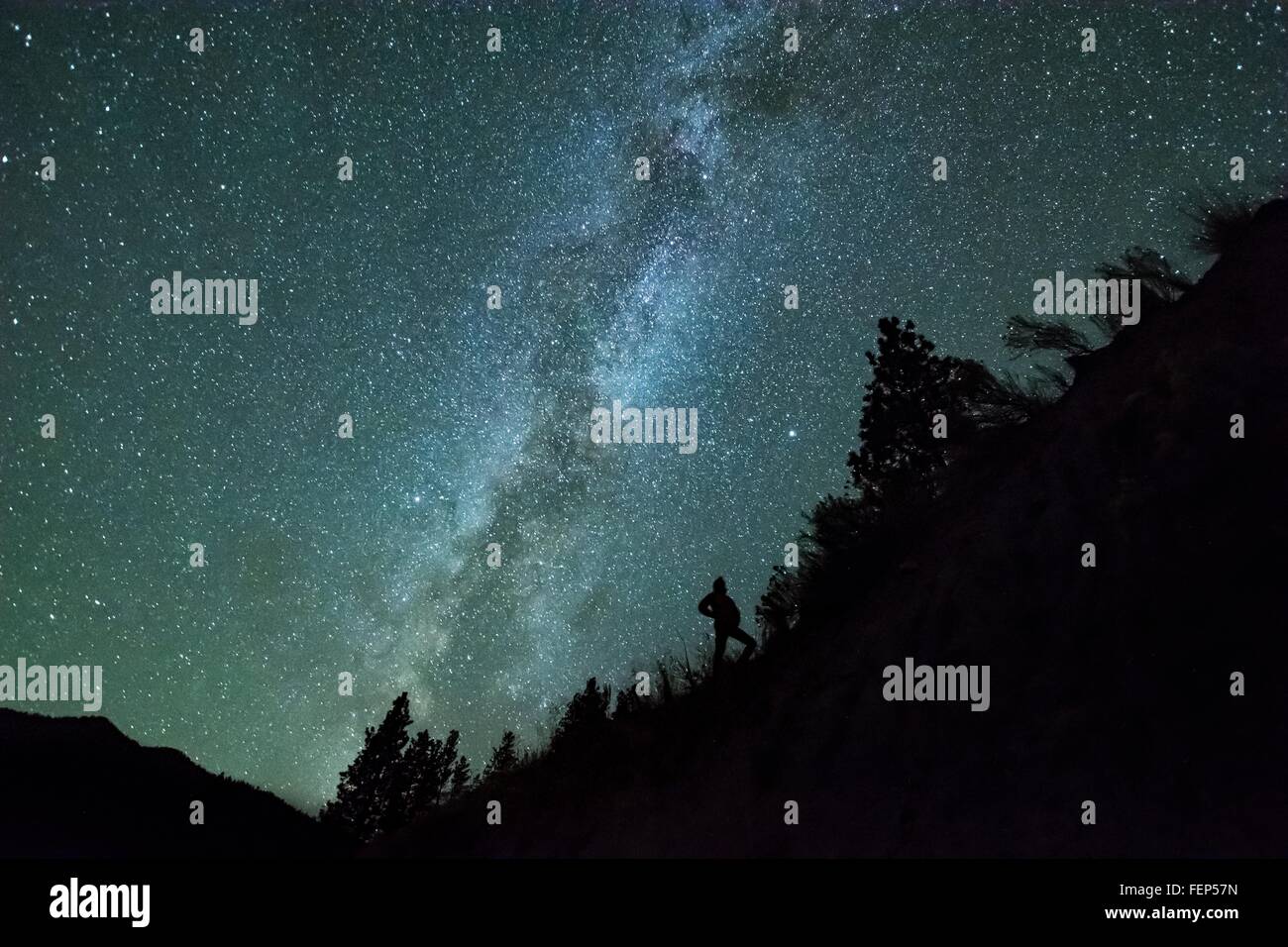 Homme silhouetté contre le ciel de nuit et Milky Way dans la forêt de montagne, Penticton, Colombie-Britannique, Canada Banque D'Images Homme silhouetté contre le ciel de nuit et Milky Way dans la forêt de montagne, Penticton, Colombie-Britannique, Canada Banque D'Images