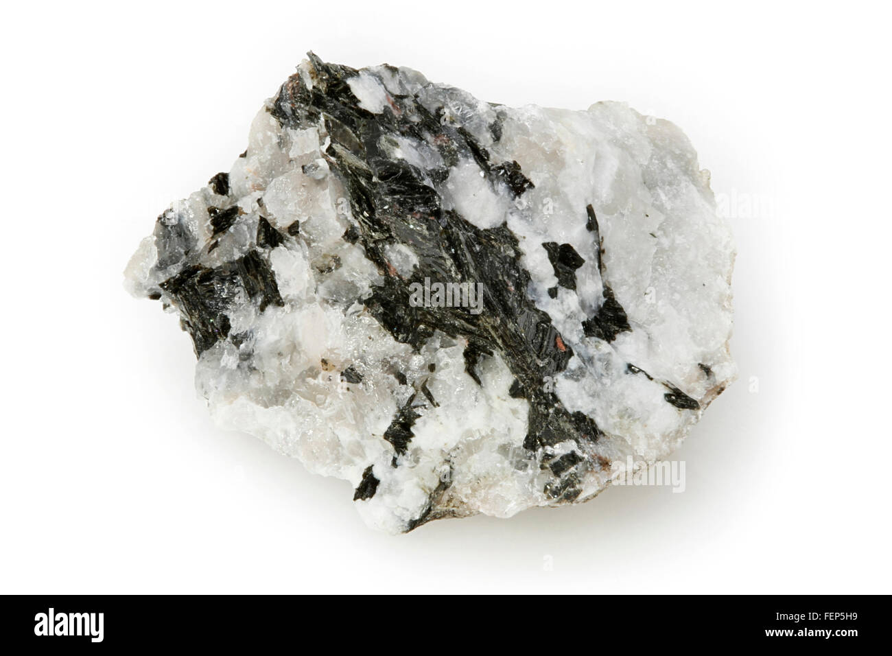 Ignée noir minéral Augite, en entourant les minéraux blancs, Wakefield, Québec, Canada Banque D'Images