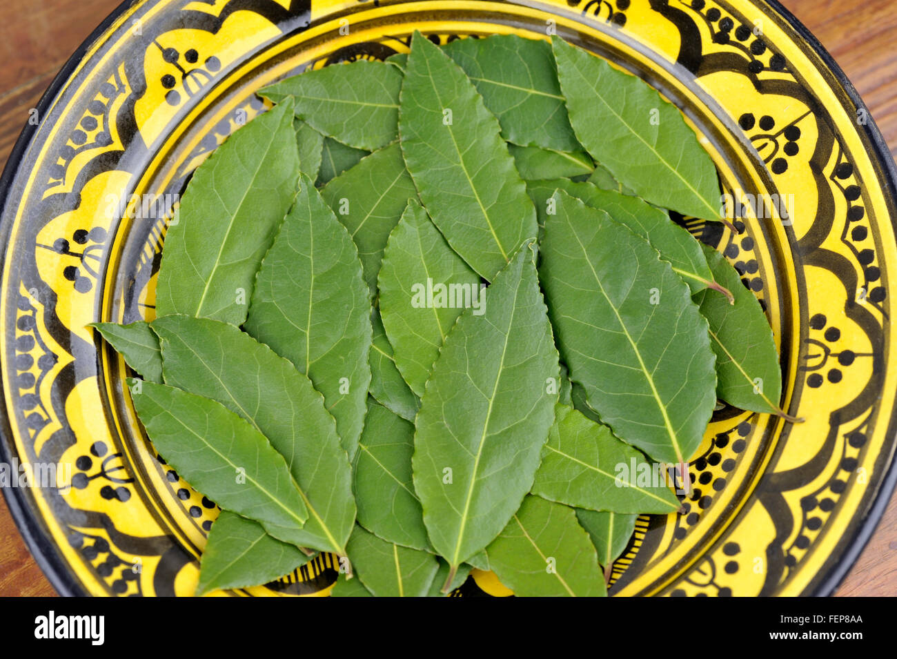 Laurier, Laurus nobilis ou laurier feuilles dans un plat. Banque D'Images