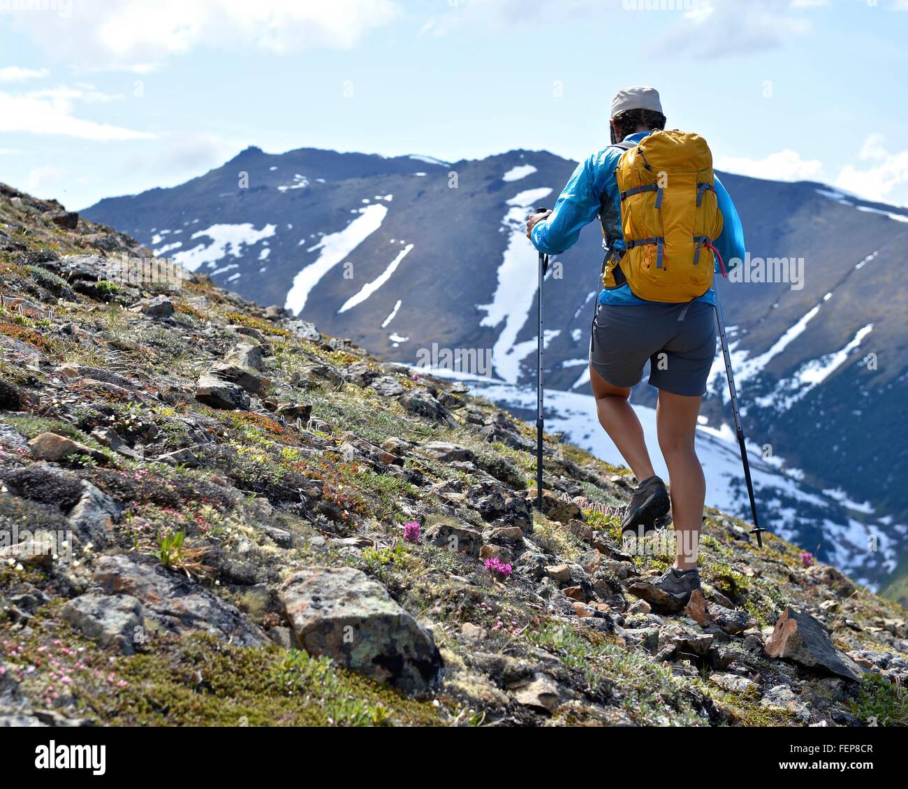 Femme d'alpiniste marche en montée, vue arrière, Chugach State Park, Anchorage, Alaska, USA Banque D'Images