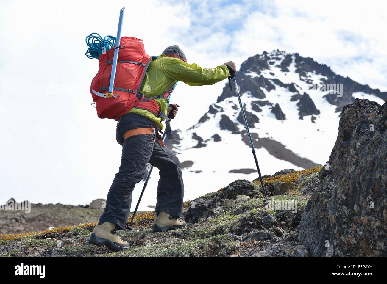 Homme d'alpiniste marche en montée, vue arrière, Chugach State Park, Anchorage, Alaska, USA Banque D'Images