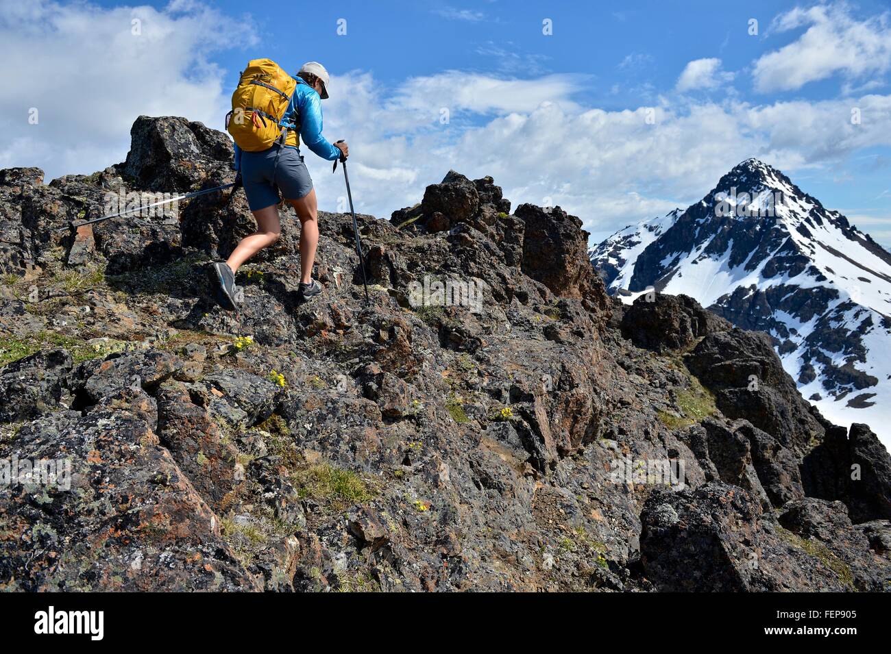 Alpiniste femelle montée, vue arrière, Chugach State Park, Anchorage, Alaska, USA Banque D'Images