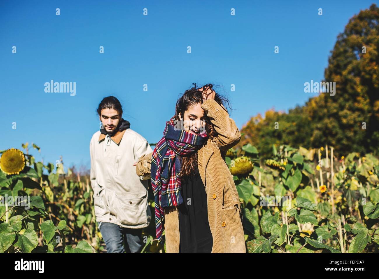 Jeune couple en train de marcher à travers champ de tournesols Banque D'Images