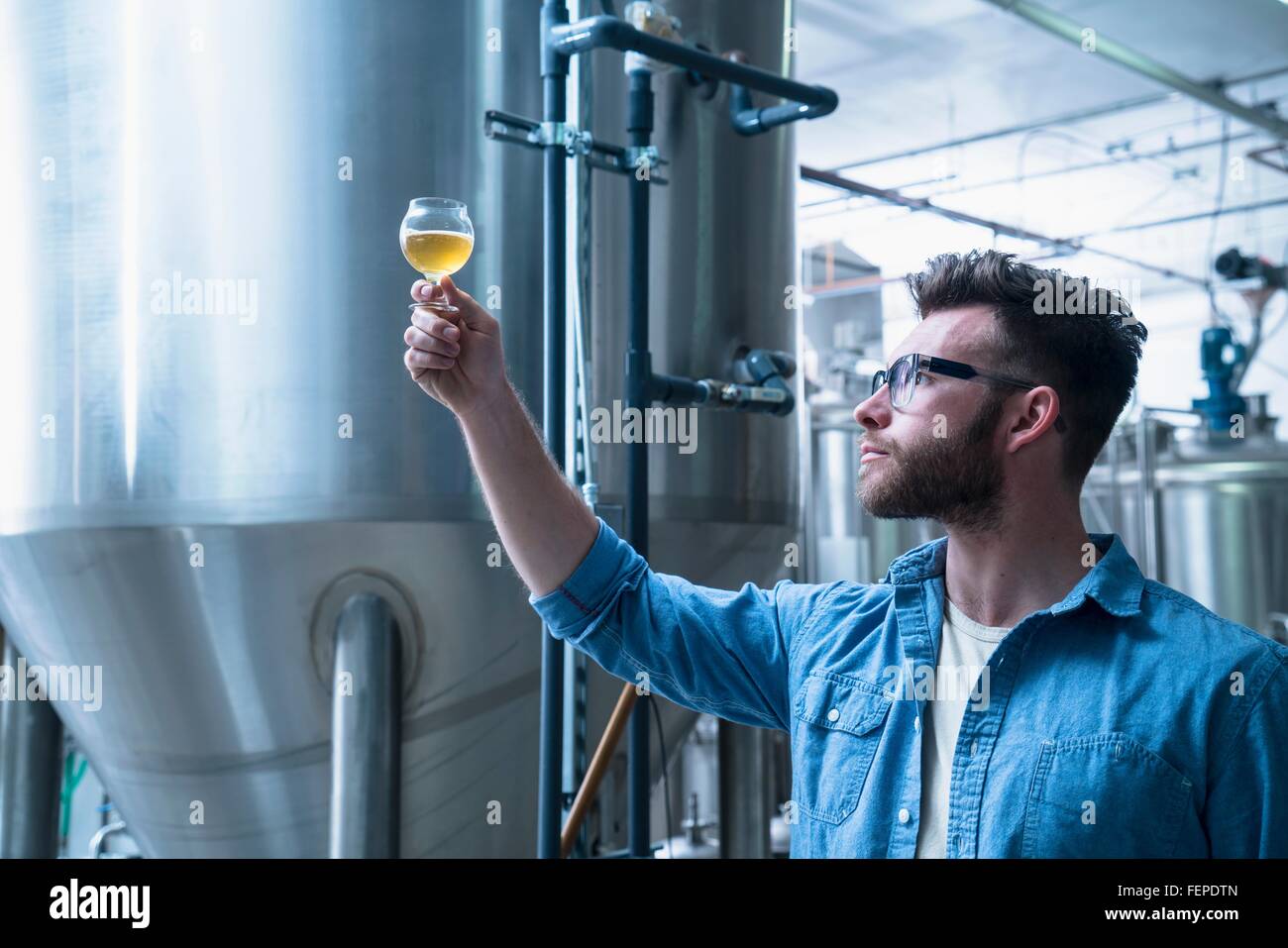 Jeune homme de brasserie disposant d'une verre de bière, contrôle qualité Banque D'Images