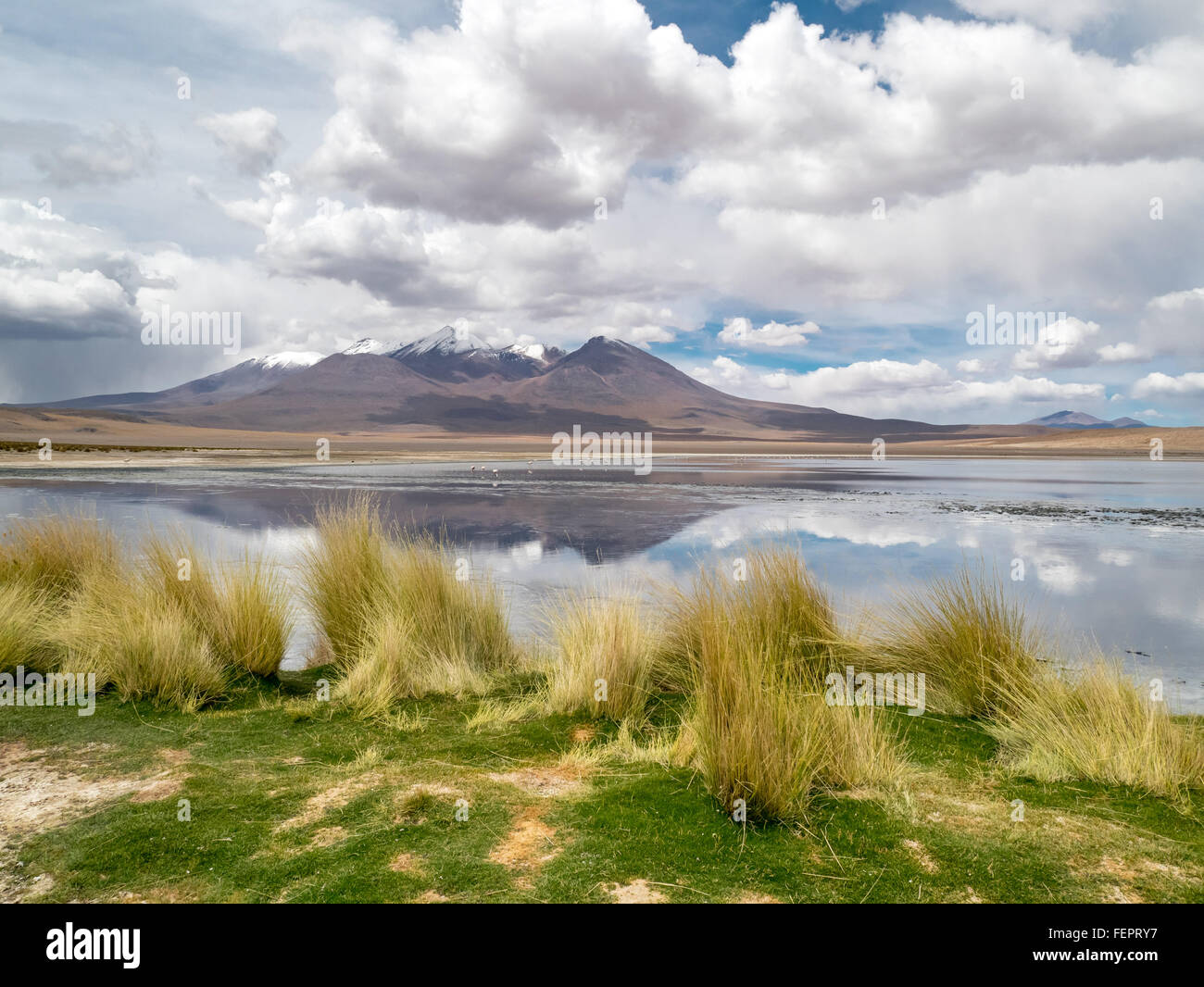 Road Trip dans les Andes, de San Pedro de Atacam à Uyuni Banque D'Images