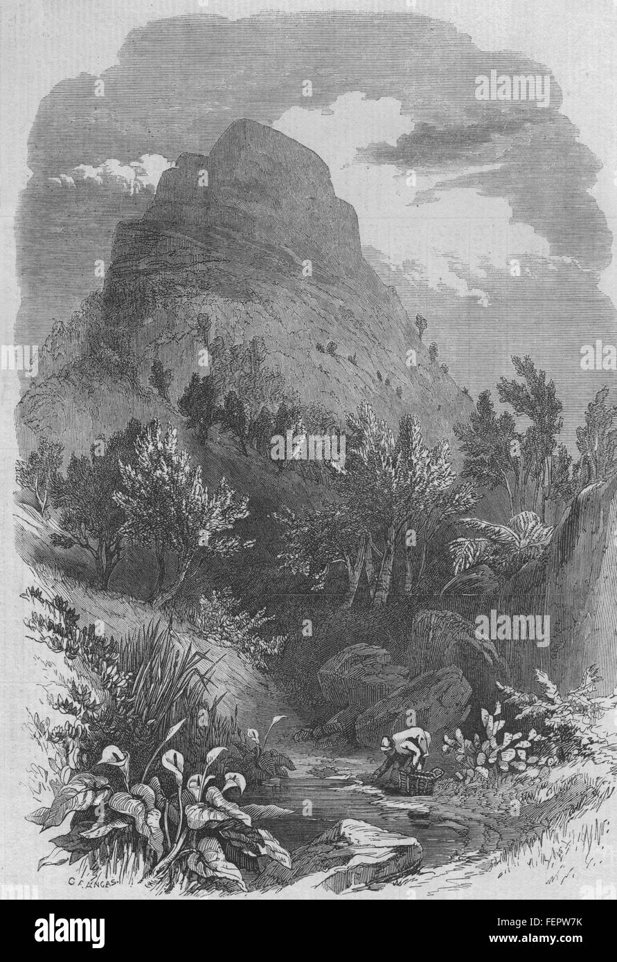 L'AFRIQUE DU SUD La Tête de Lion Mountain, près de Cape Town, Le Cap de Bonne Espérance 1868. Illustrated London News Banque D'Images