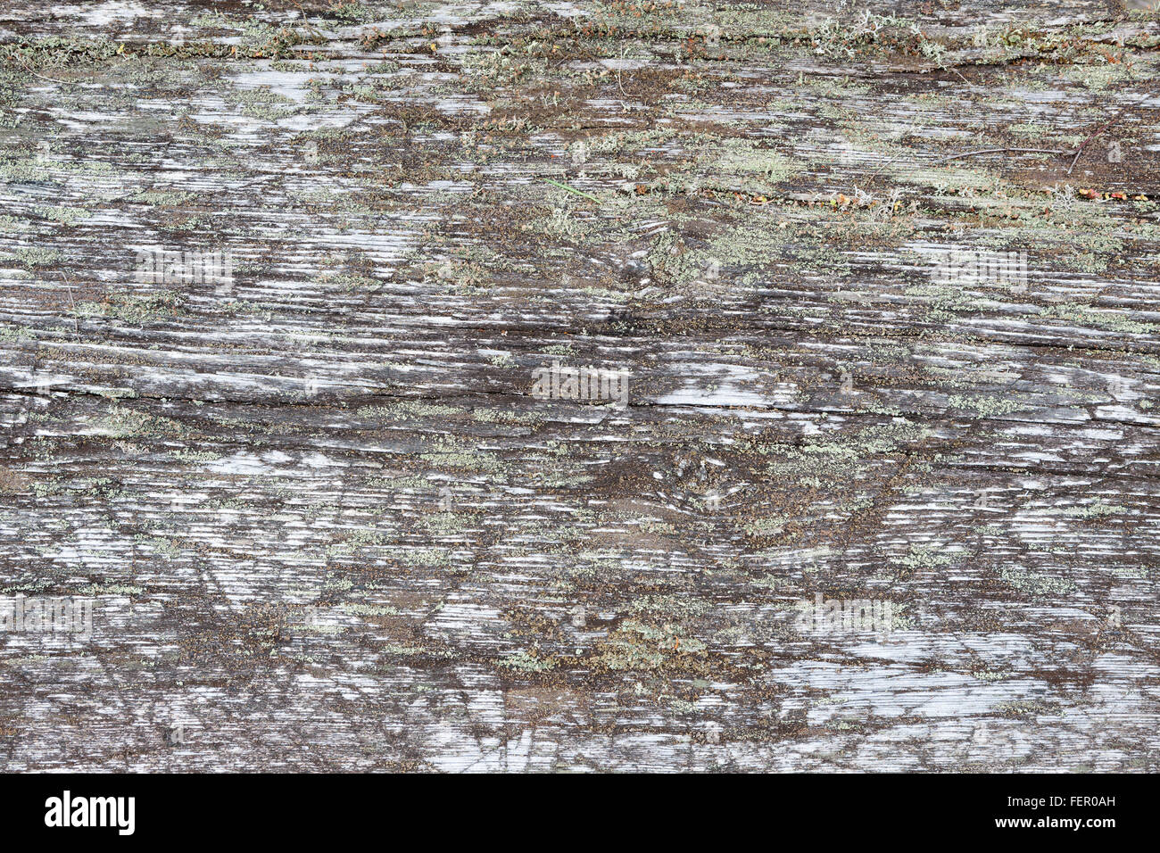 De gris naturel wood background Banque D'Images