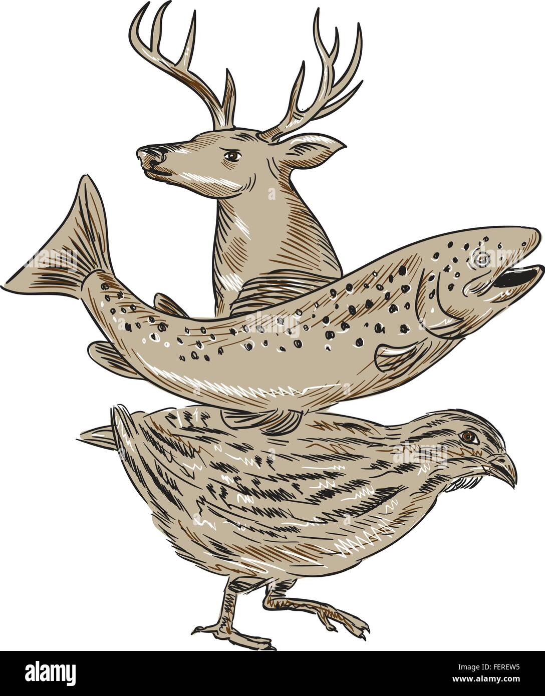 Croquis dessin illustration de style d'un cerf, la truite et les cailles vu du côté situé sur fond blanc isolé. Illustration de Vecteur