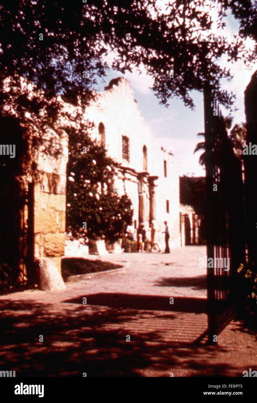 L'Alamo, situé à San Antonio, au Texas, est un site historique connu pour son rôle dans la révolution texane. L'image met en valeur son architecture emblématique et son importance en tant que symbole de courage et d'indépendance. Banque D'Images