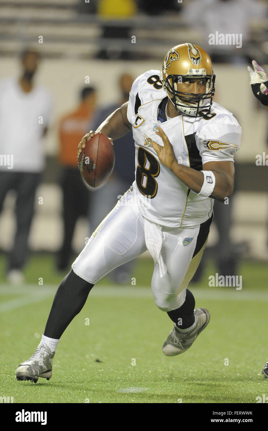 21 octobre 2010 - Orlando, Floride, États-Unis - 21 Oct 2010, Orlando, Floride : Sacramento lions des montagnes quarterback Daunte Culpepper (8) en action contre le Florida Citrus Bowl le Tuskers. Sacramento a gagné 21-17. (Crédit Image : © Scott A. Miller via Zuma sur le fil) Banque D'Images