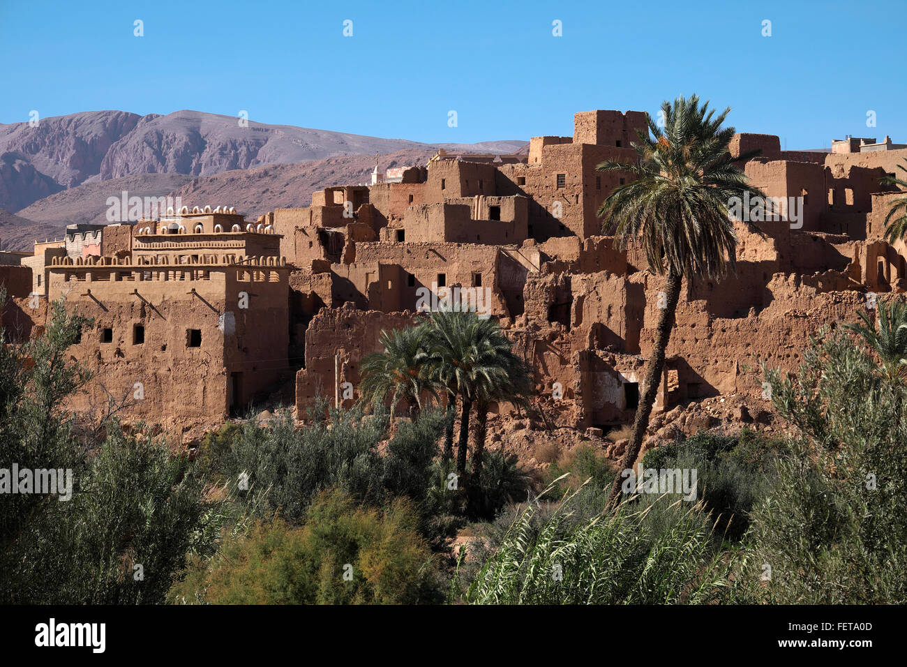 Tinghir, oasis, Haut Atlas, Maroc, Souss-Massa-Draâ Banque D'Images