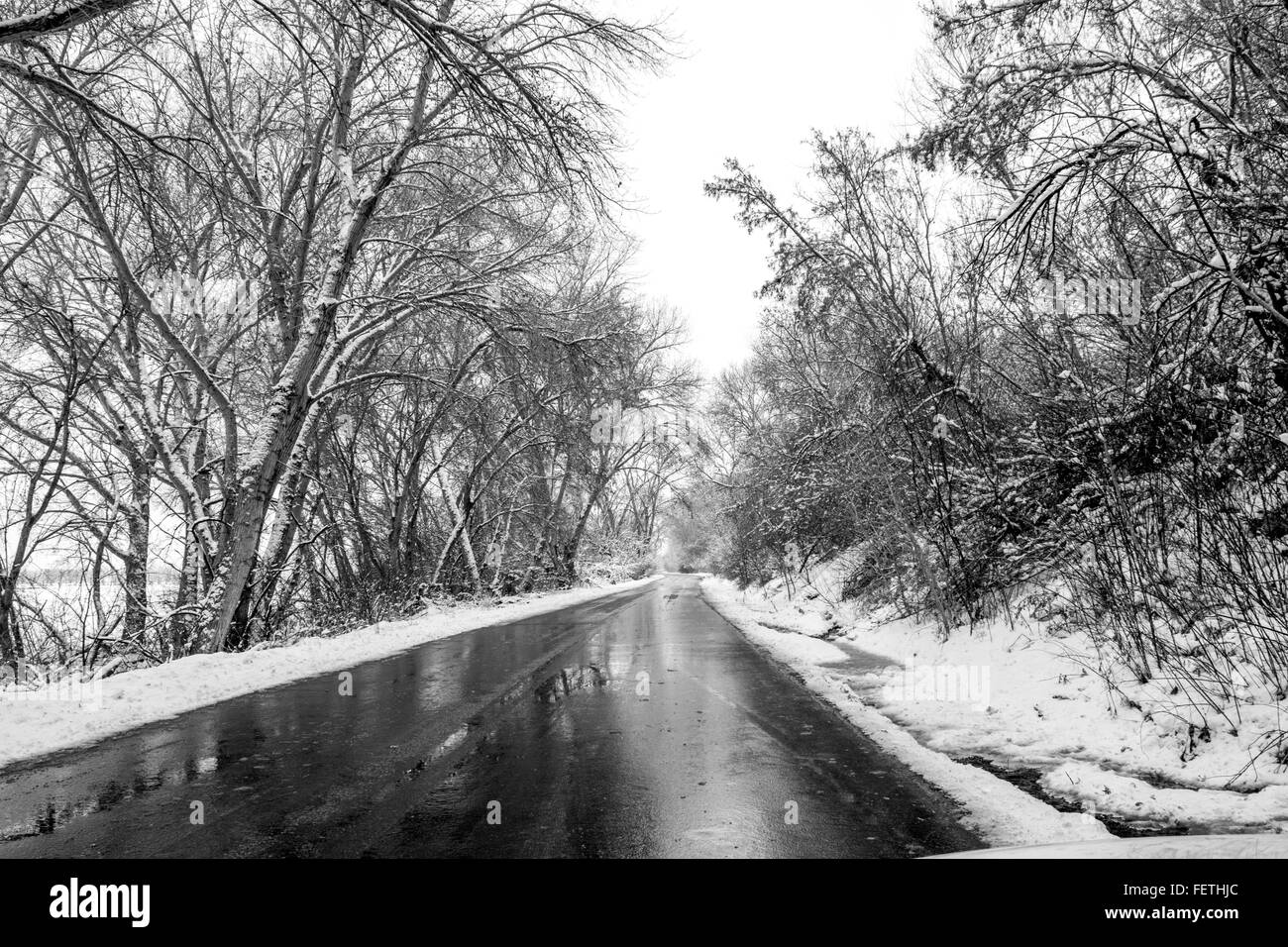 Route enneigée et d'arbres. Banque D'Images