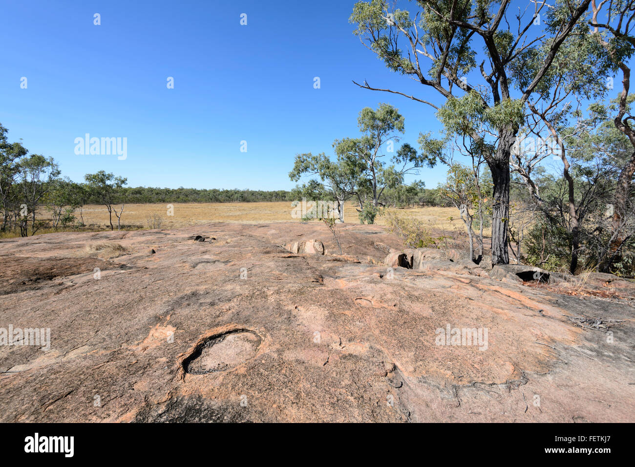 Roche plate, Undara Volcanic National Park, Gulf Savannah, Queensland, Australie Banque D'Images