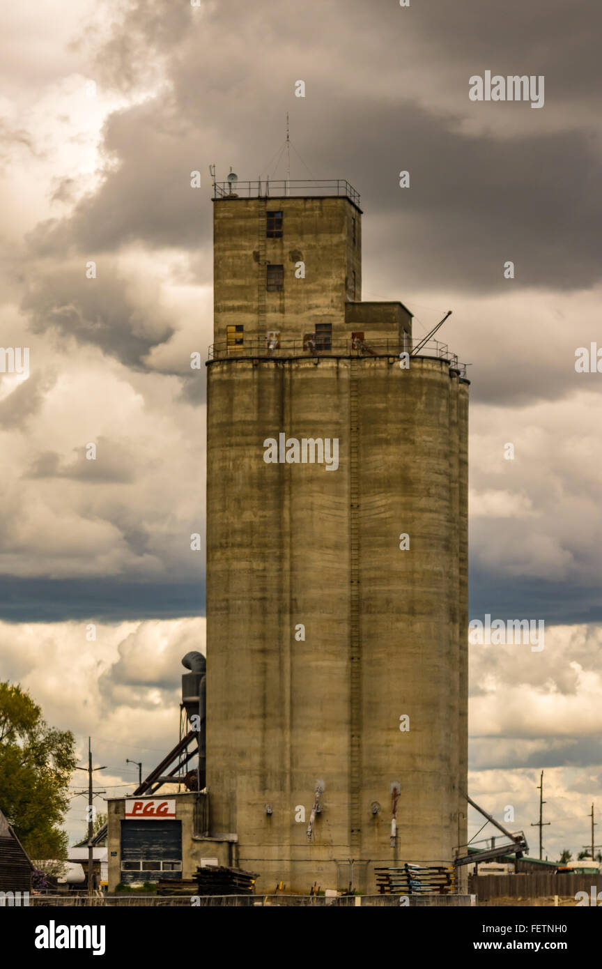 Silo de stockage de céréales en béton avec les nuages de tempête. Adams, Oregon Banque D'Images