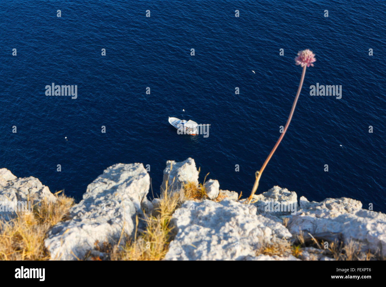 Bateau de pêche La pêche en eau profonde de la mer croate près de l'île de Lastovo. Banque D'Images