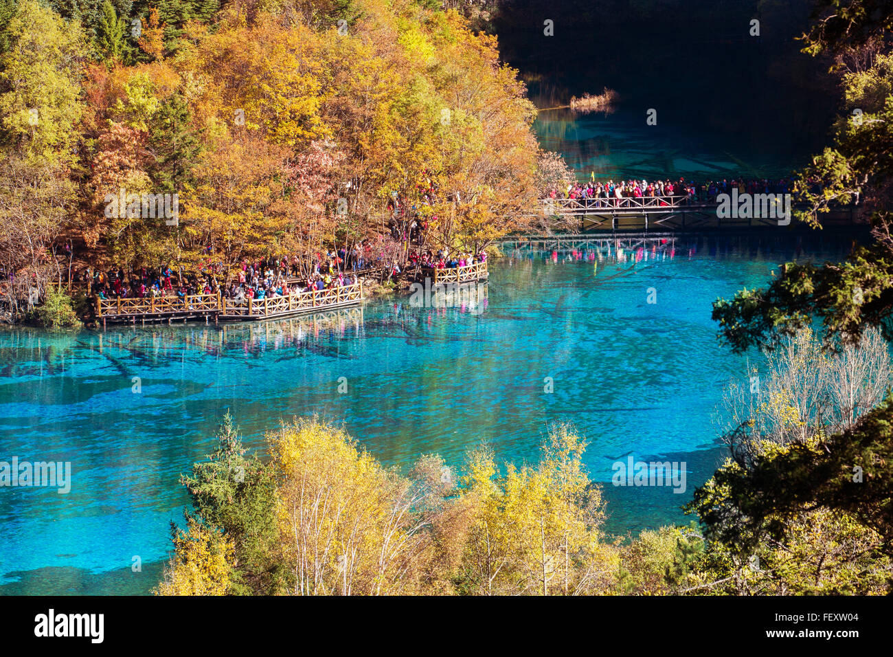 Jiuzhaigou national park, Lake Lac Fleur cinq est dans le Sichuan, Chine Banque D'Images