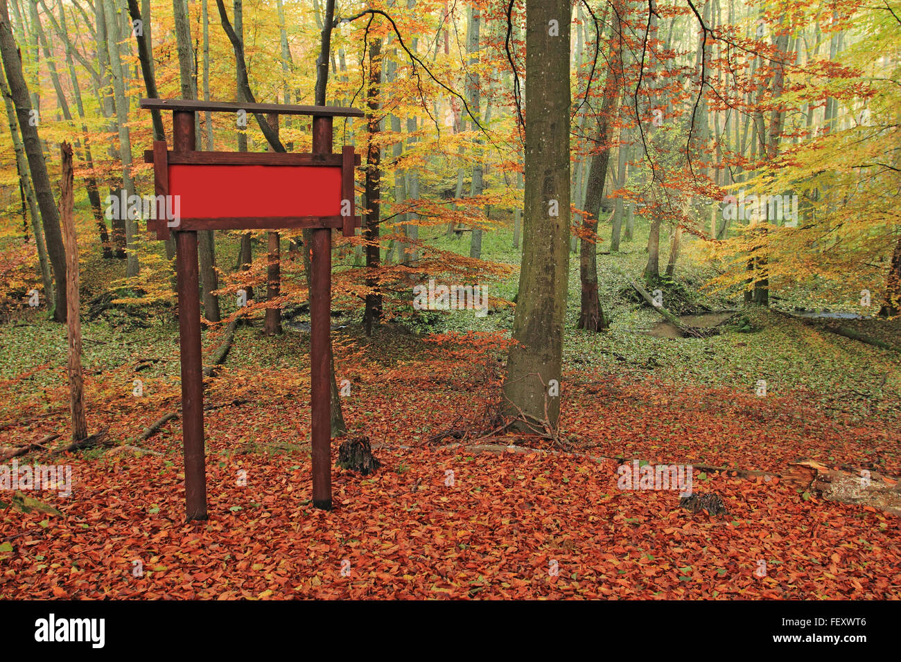 Information board en forêt en automne Banque D'Images