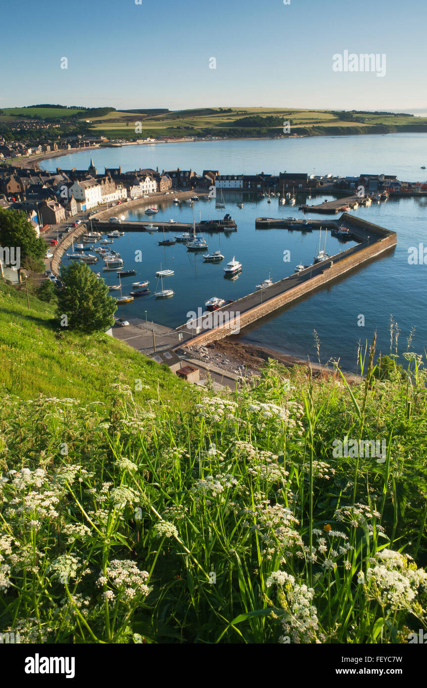 Stonehaven harbour in early morning light - Aberdeenshire, Ecosse, Royaume-Uni. Banque D'Images