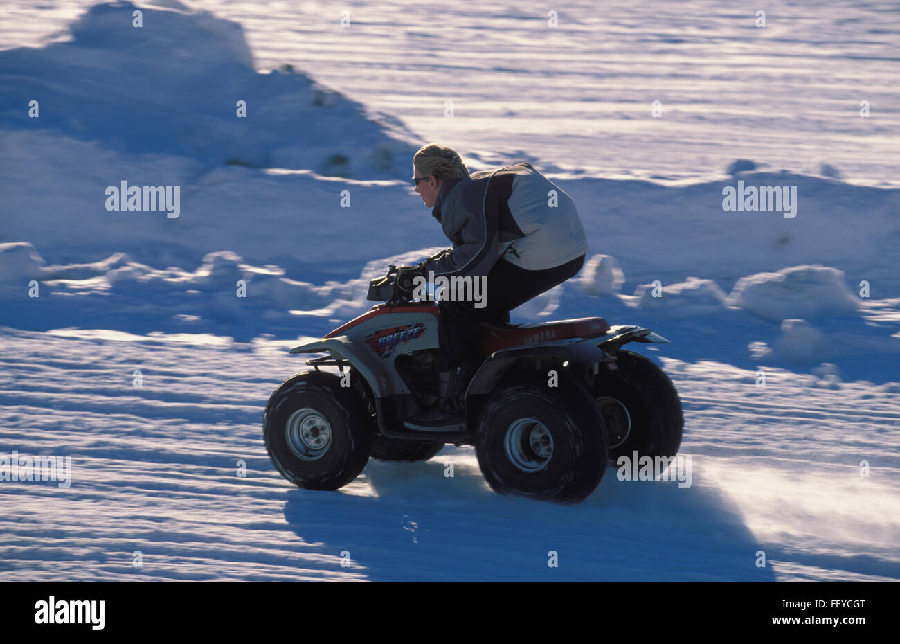 BEL, Belgique, Hautes Fagnes, à Monte Rigi est une voie pour conduire avec les quads BEL, Belgien, Hautes Fagnes, suis Monte Rigi kann man Banque D'Images