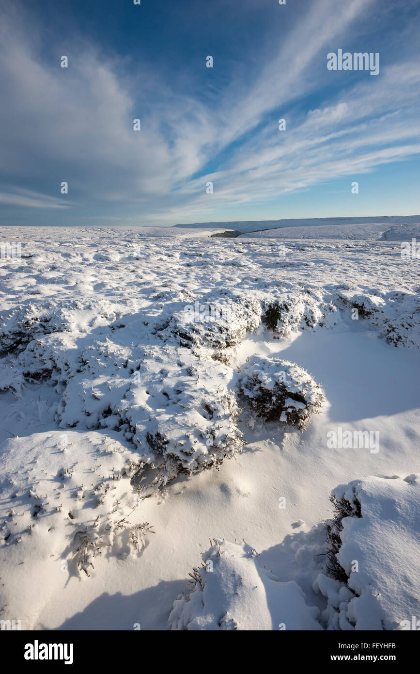 Sur les landes couvertes de neige au-dessus de Bleaklow Glossop dans le Derbyshire. Après-midi faible lumière du soleil sur les monticules de neige couvertes de bruyère. Banque D'Images