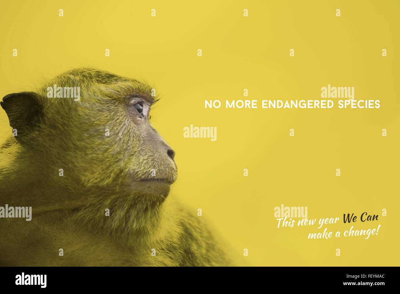 La conservation de la faune sauvage jaune coloré avec design monkey face portrait photography et des espèces en texte de sensibilisation Banque D'Images