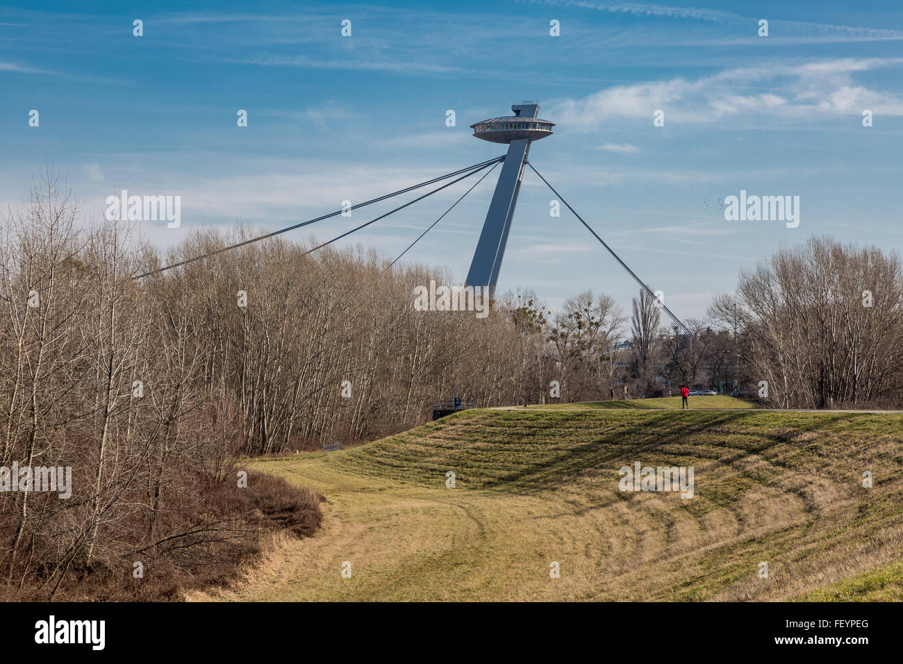 New Bridge Pylon à Bratislava, Slovaquie. Vue sur la forêt de plaine d'au Danube. Banque D'Images