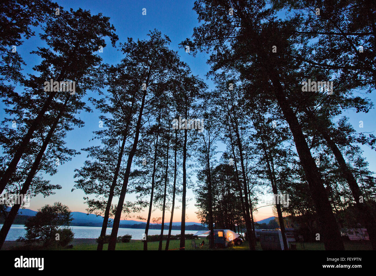 Camping sous les arbres à côté du lac Lipno, République Tchèque Banque D'Images