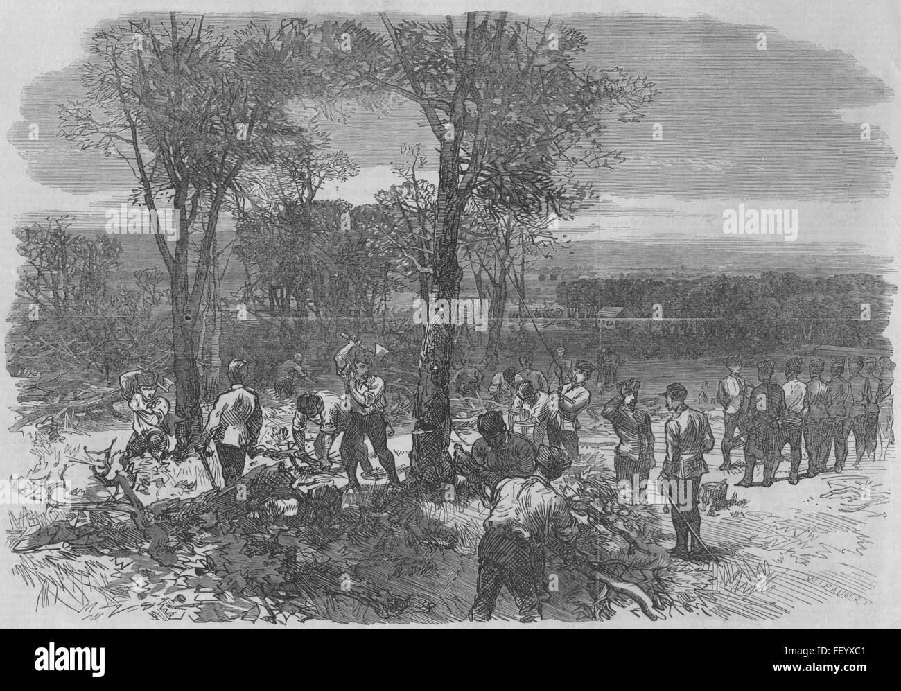 Abattre des arbres, l'Autriche, Vienne Florisdorf Défense nationale 1866. Illustrated London News Banque D'Images