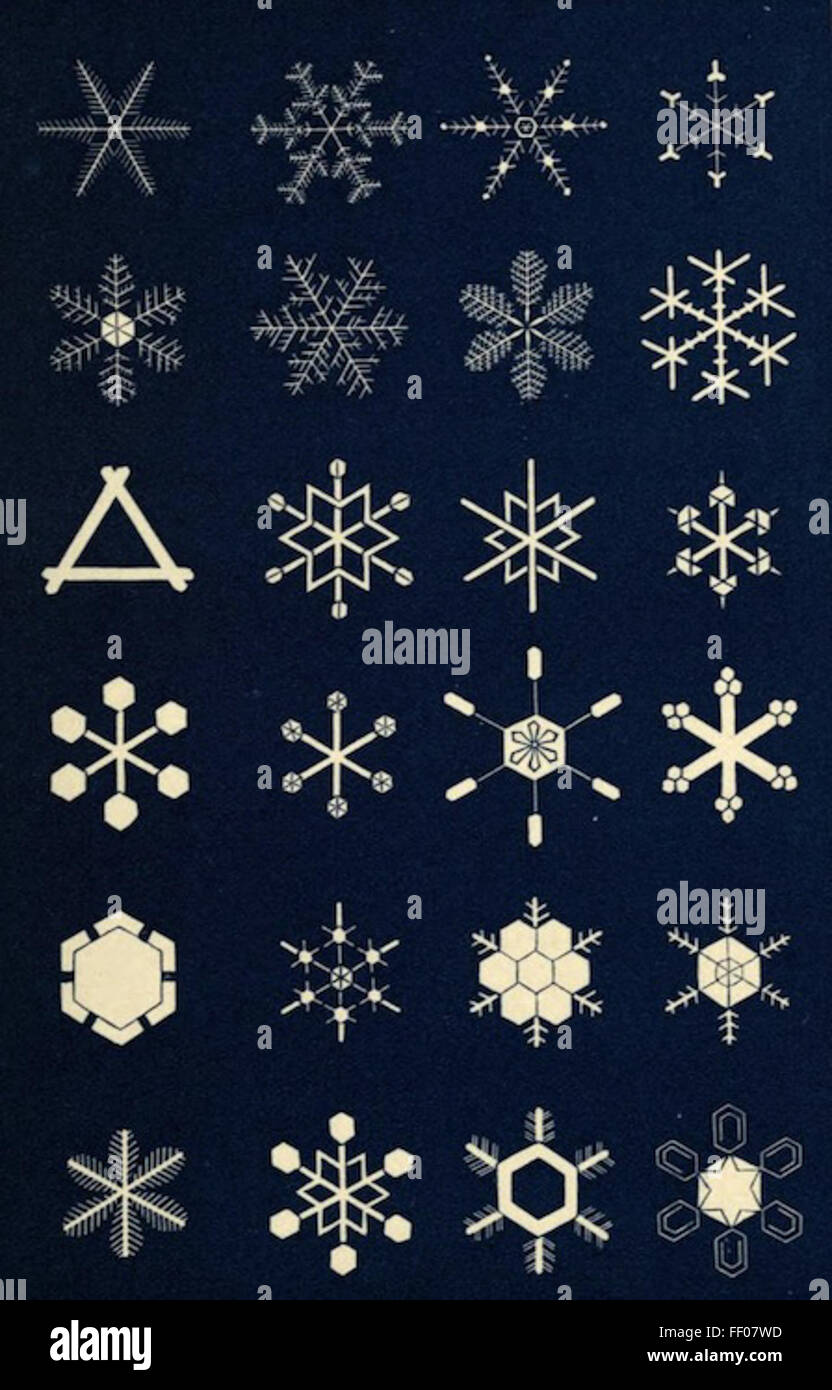 Illustrations des flocons : un chapitre du livre de la nature des illustrations des flocons un chapitre dans le livre de la Nature Banque D'Images