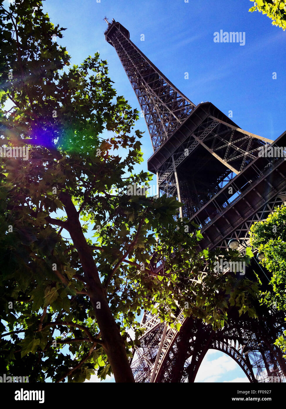 La Tour Eiffel se dresse à Paris, baignée de soleil pendant la journée. Ce monument emblématique est l'une des structures les plus reconnaissables au monde, symbolisant la culture française et la réalisation architecturale. Banque D'Images