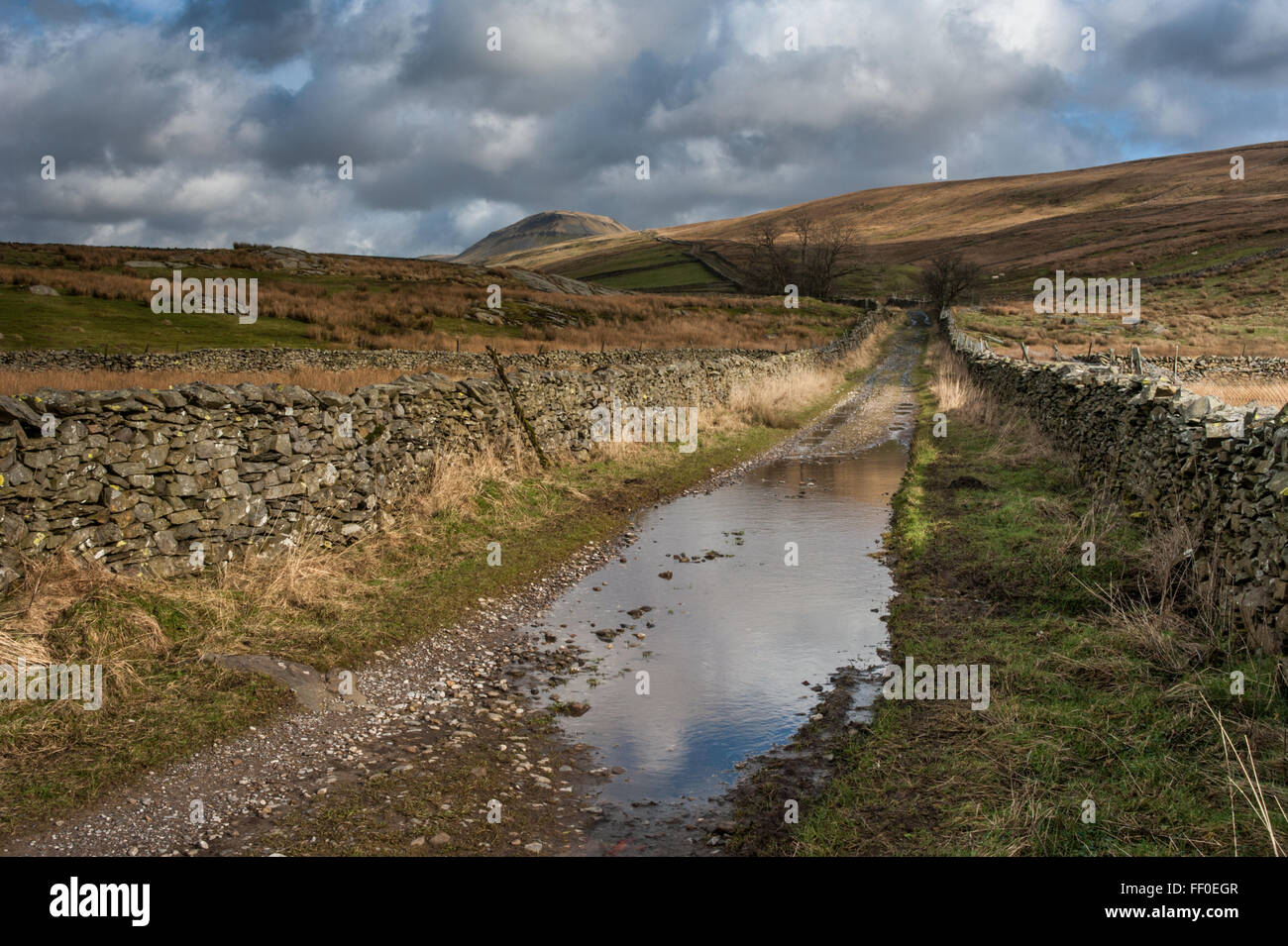 Long Lane et le Pen-y-Ghent in Ribblesdale Yorkshire Banque D'Images